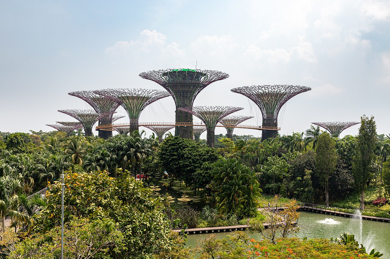 Singapore (SG), Gardens by the Bay, Supertree Grove -- 2019 -- 4752.jpg